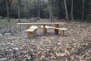 All Ability Picnic Table Bench installed in a woodand