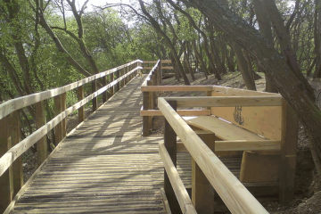 Passing place on wooden boardwalk through woodland