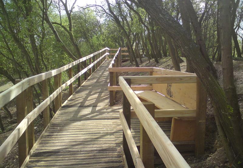 Sloping boardwalk with passing place