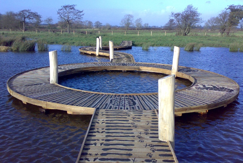 Boardwalk over water with circular pond dipping area