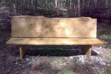 Wooden bench with forest exploration carving on backrest