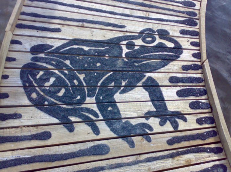 image of frog on decking