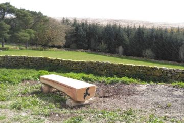 carved treetrunk bench overlooking Bellever Dartmoor