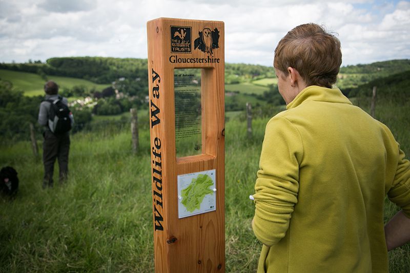 Lady reading a Gloucestershire Wildlife information post