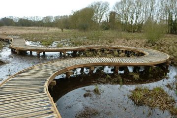 Curved boardwalk over marshland