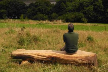 man sitting on carved tree trunk bench looking at view over woods