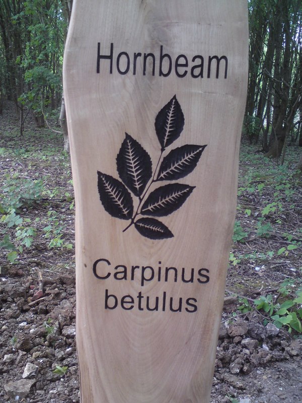 wooden post with leaf engraving