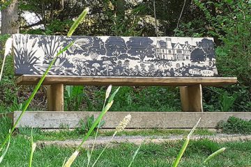 wooden viewpoint bench in front of trees