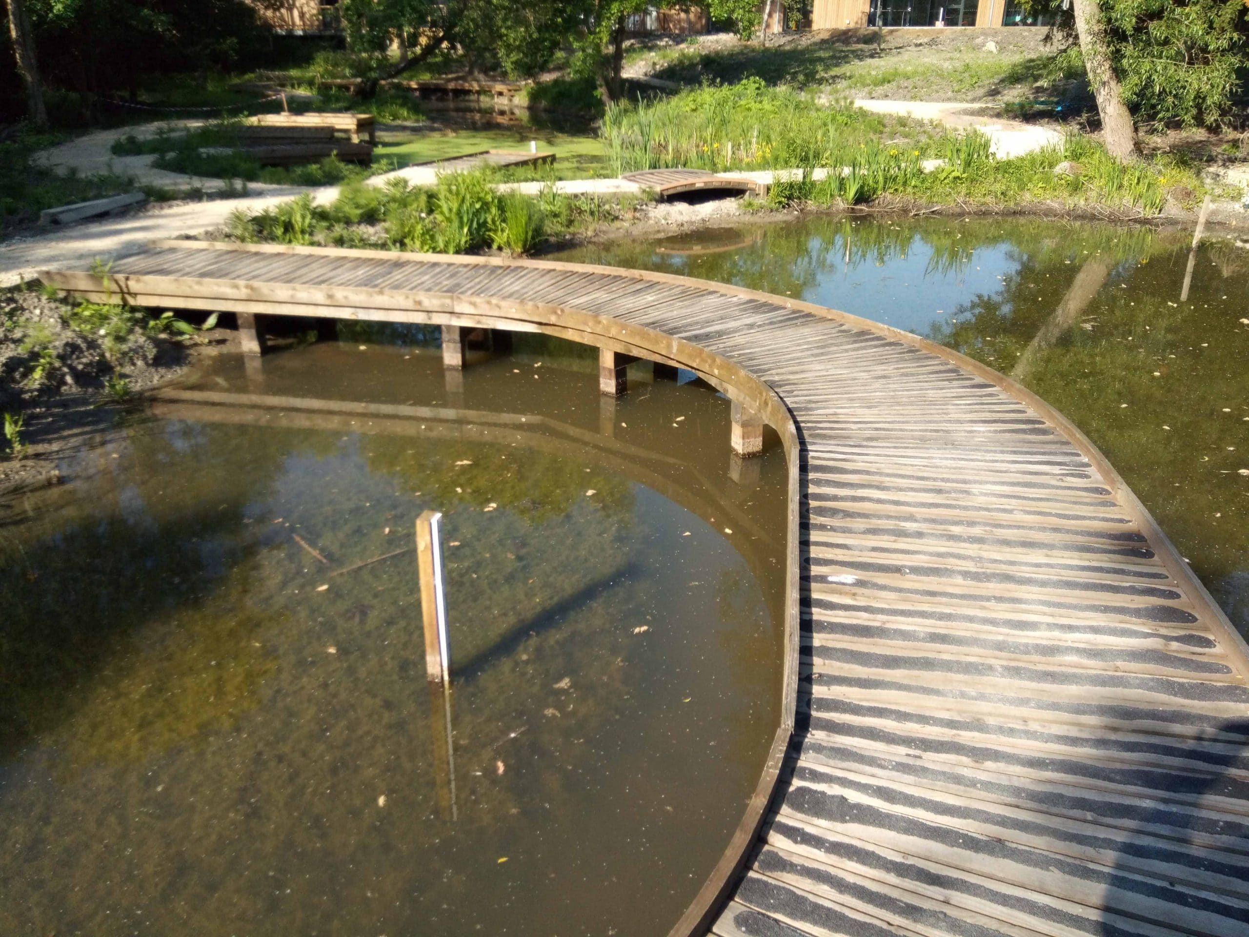 curved wooden walkway over a pond