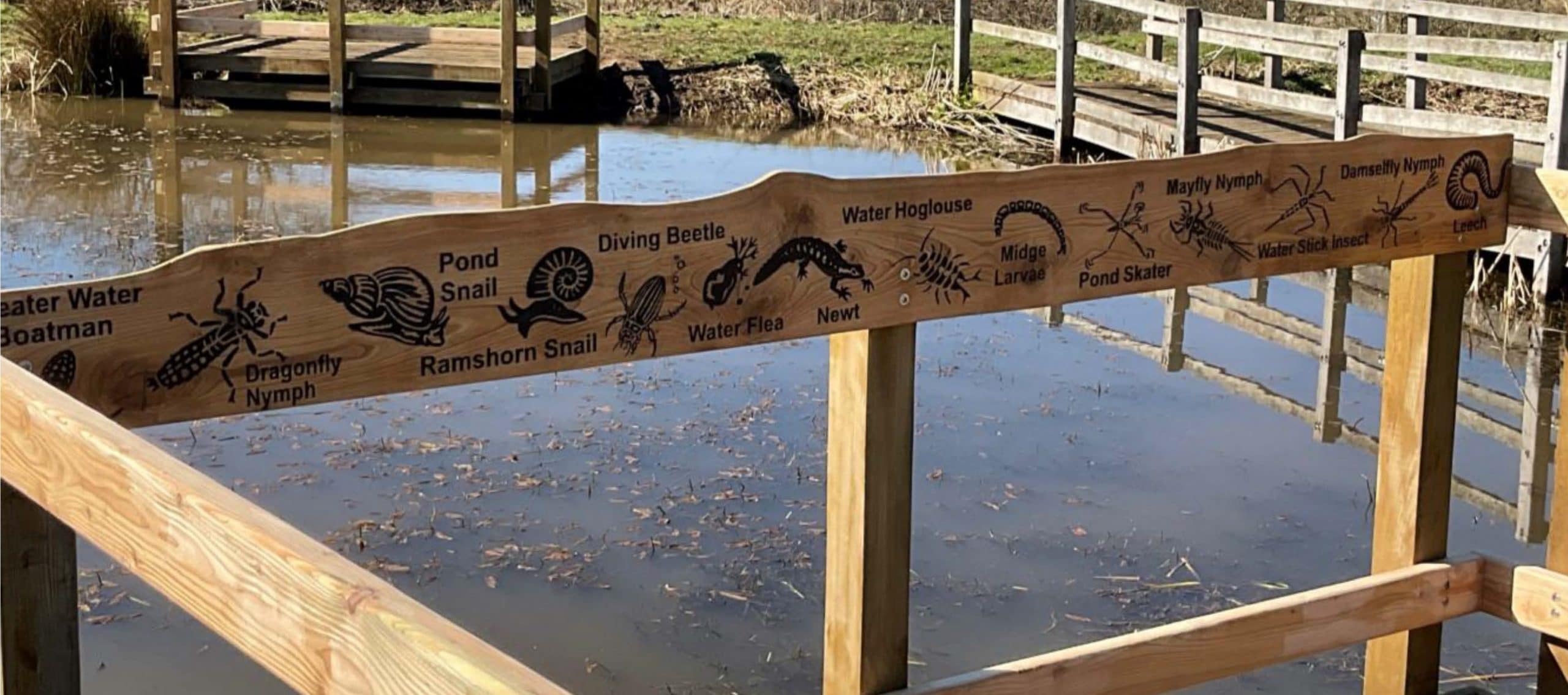 pond creatures etched onto a wooden rail