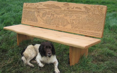 Wooden bench with wildlife images etched onto backrest with dog
