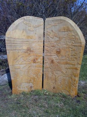 wooden boards engraved with Isles of Scilly wildlife